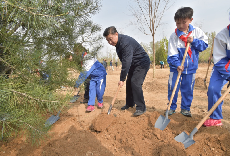 习近平：建设绿色家园是人类的共同梦想