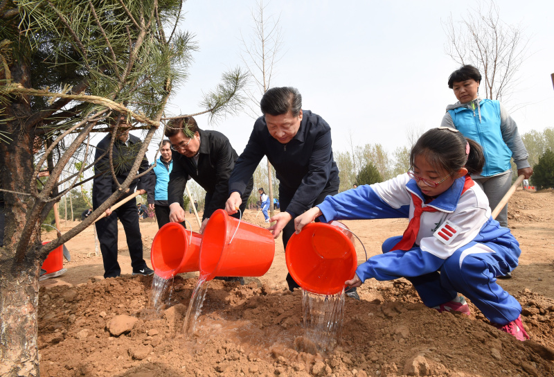 习近平：建设绿色家园是人类的共同梦想